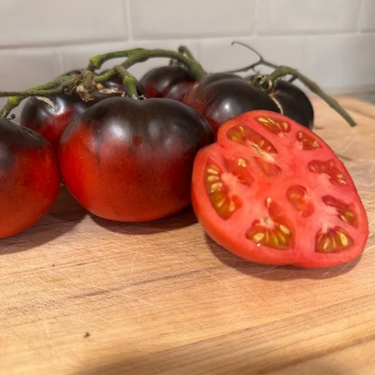 Indigo Apple Tomato offered by Firefly Farm